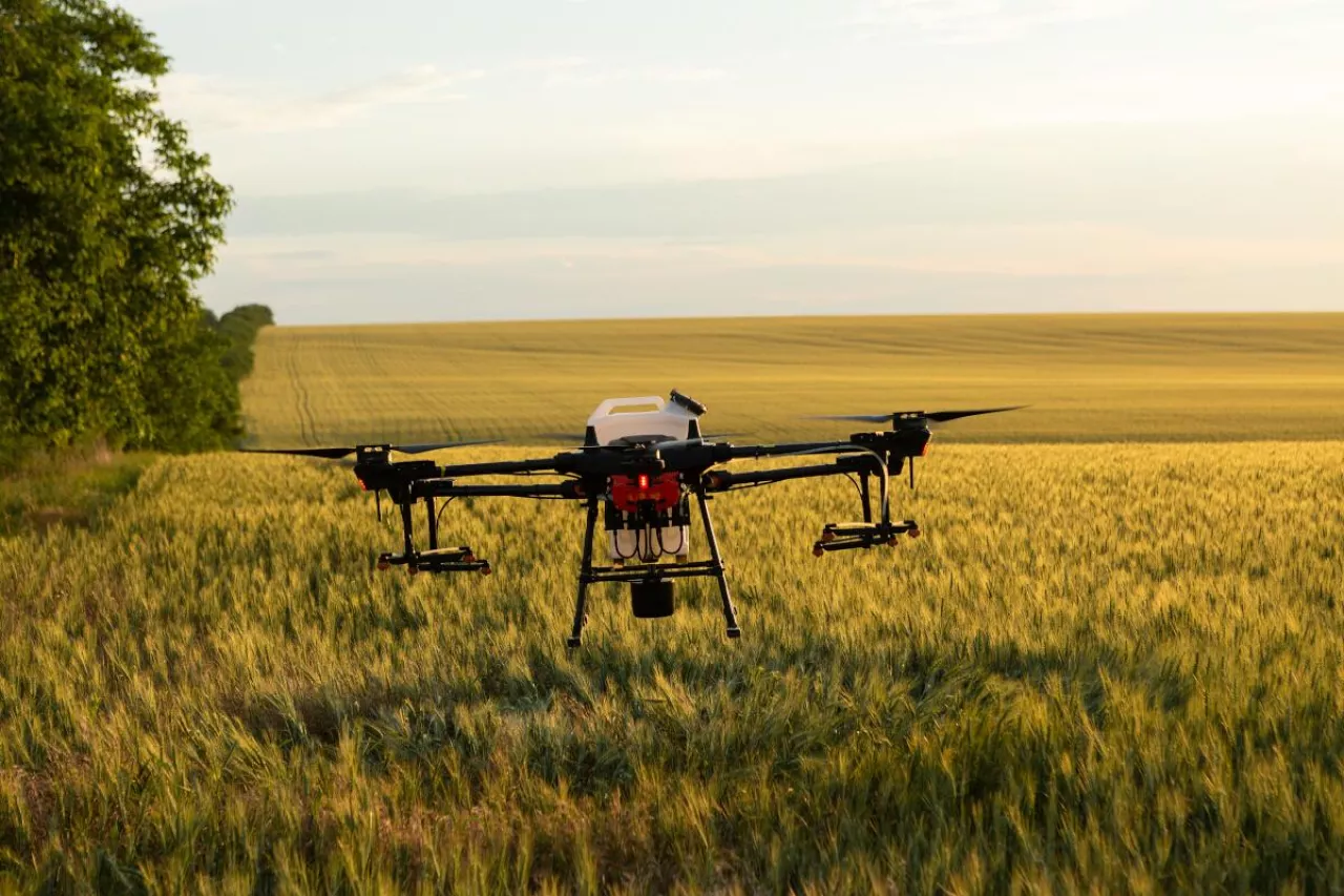 Dron wykorzystywany do prac monitoringowych i zabiegów precyzyjnych nad polem zboża.