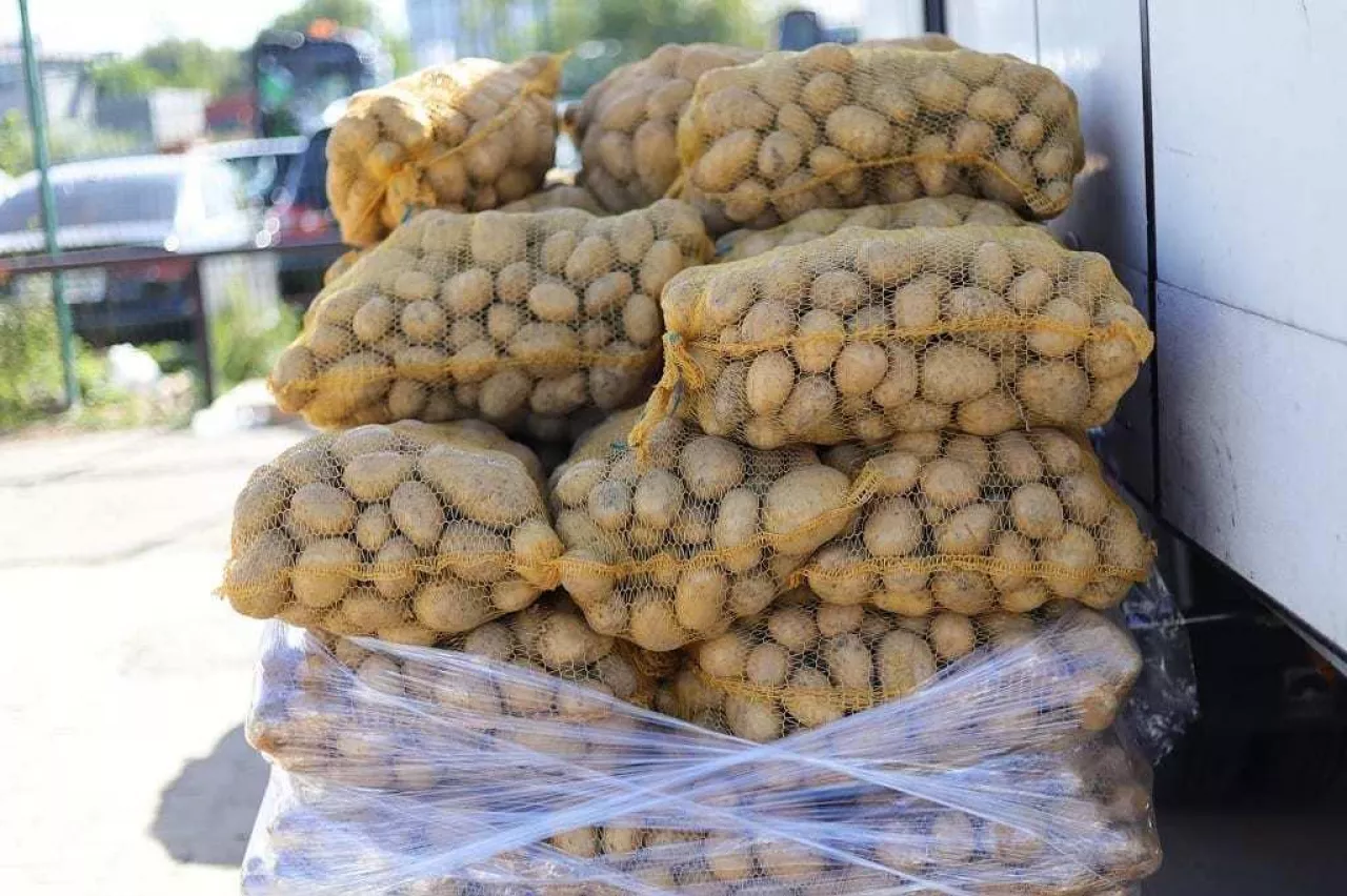 ziemniaki, ceny ziemniaków, import ziemniaków