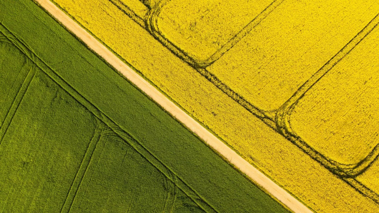 Produkty w nowej odsłonie, skład bez zmian. Qemetica® z nowymi etykietami i opakowaniami