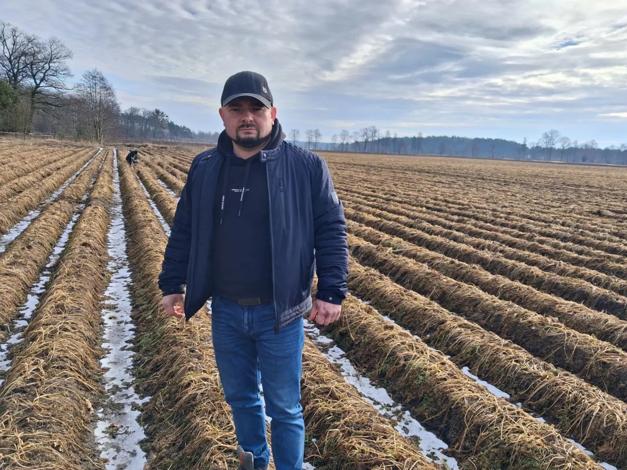 Filip Pawlik pozostał z 3,5 hektra niezebranej marchwi