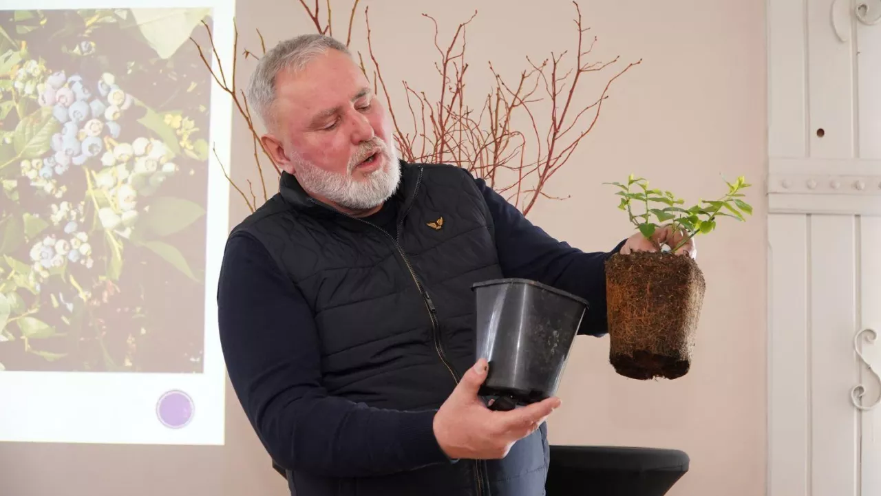 Piotr Szurek, Berry Advisor