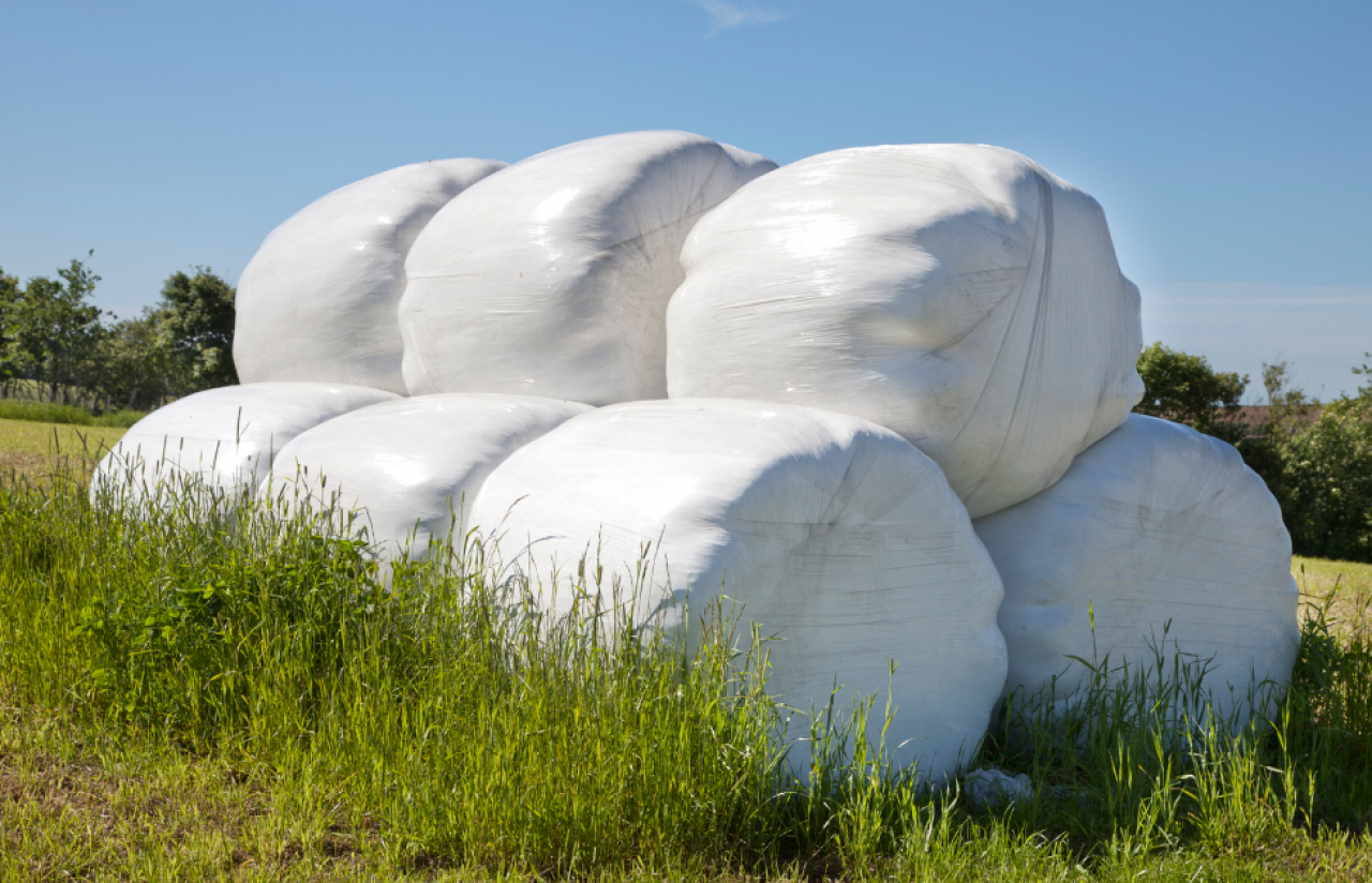 pole, odpady w folii