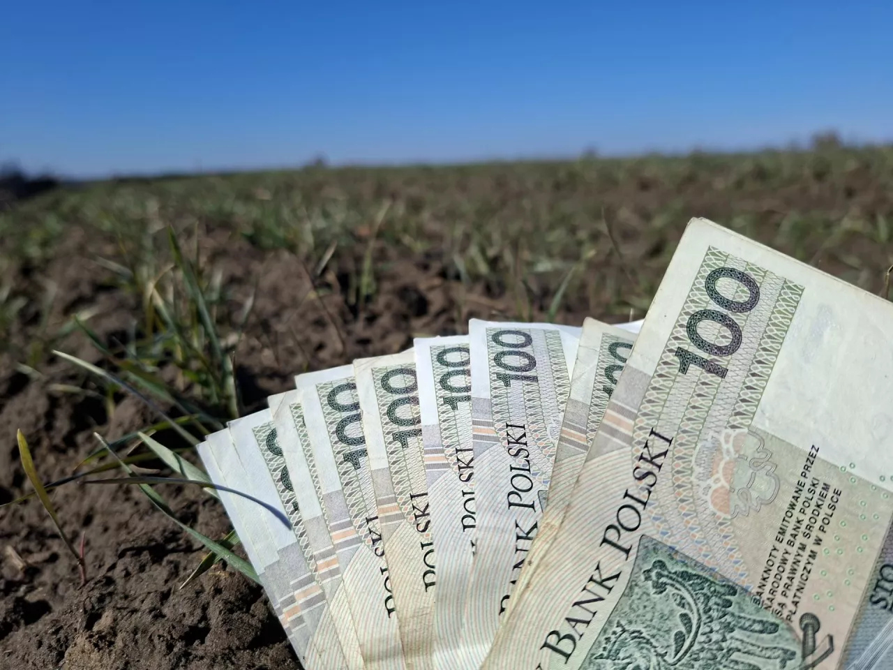 Dopłaty bezpośrednie- resort podaje szacunkowe stawki.