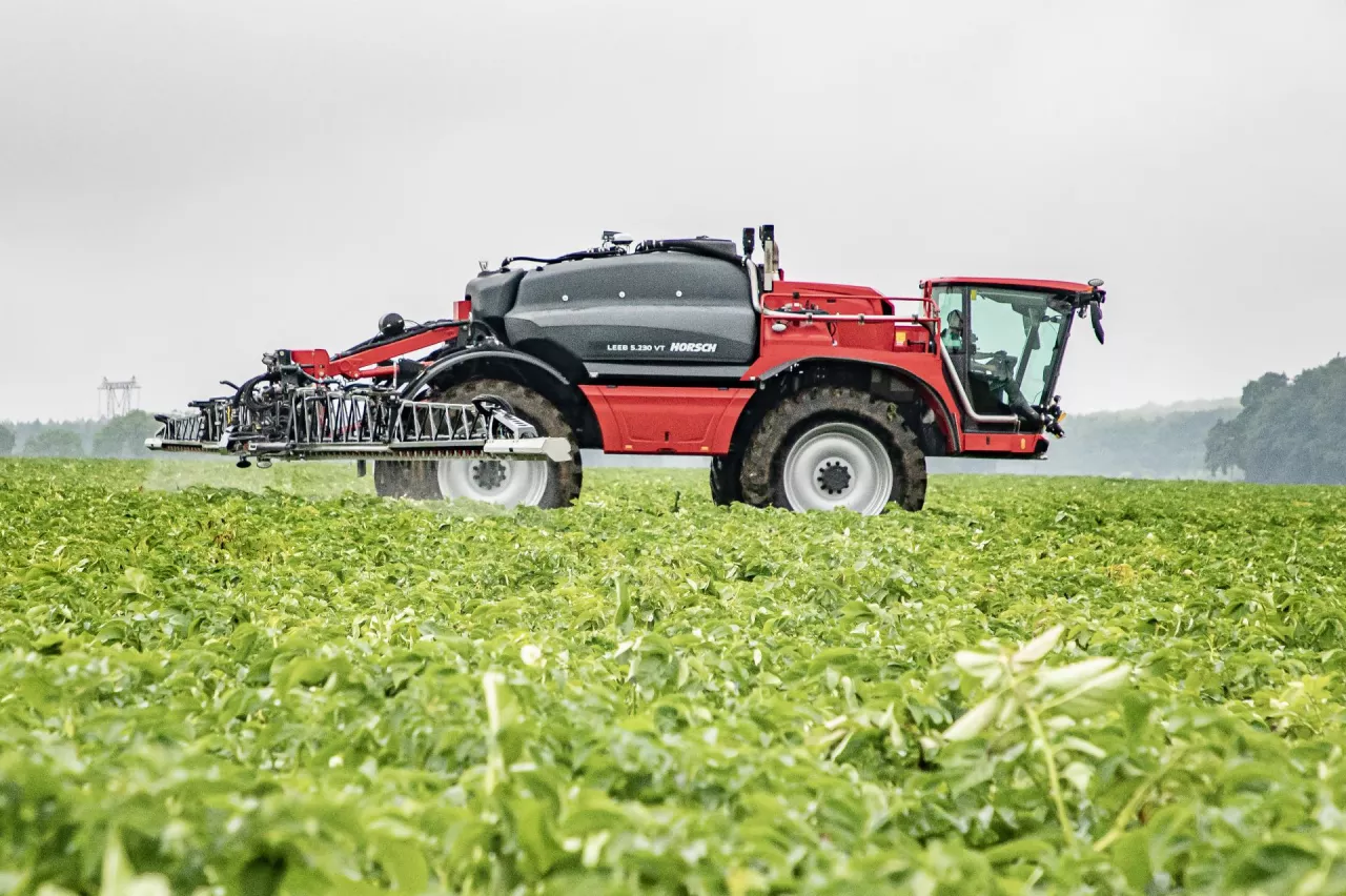 odchwaszczanie, ziemniaki, oprysk