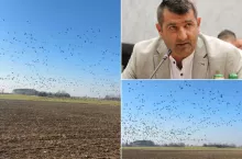 Naloty ptaków w Dolinie Biebrzy i Narwi