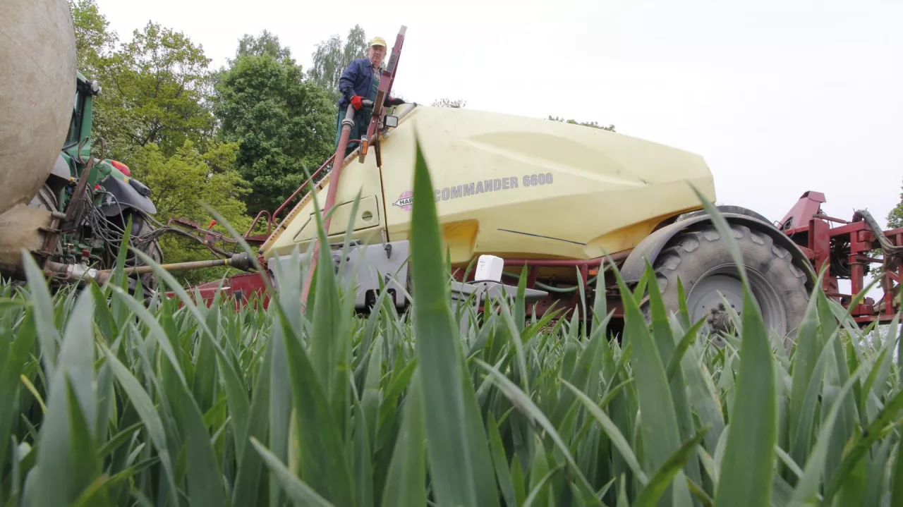 Nalewanie fungicydów do opryskiwacza w fazie liścia flagowego - zabieg T2