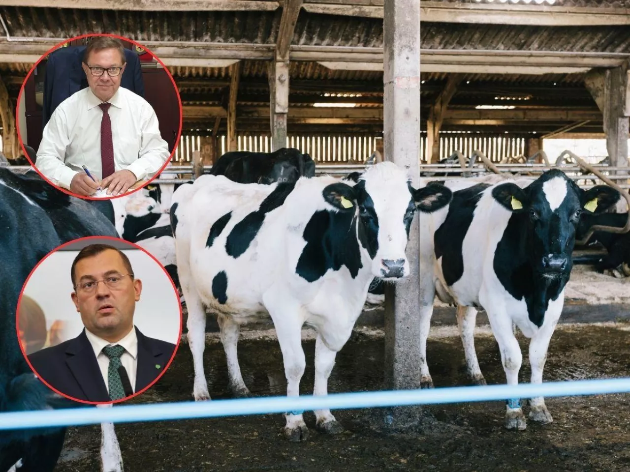 Kryzys na rynku mleka