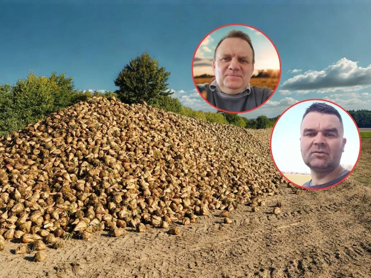 Co dalej z produkcją buraka cukrowego?