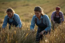 Rolniczki w Polsce – ile kobiet pracuje w gospodarstwach rolnych?