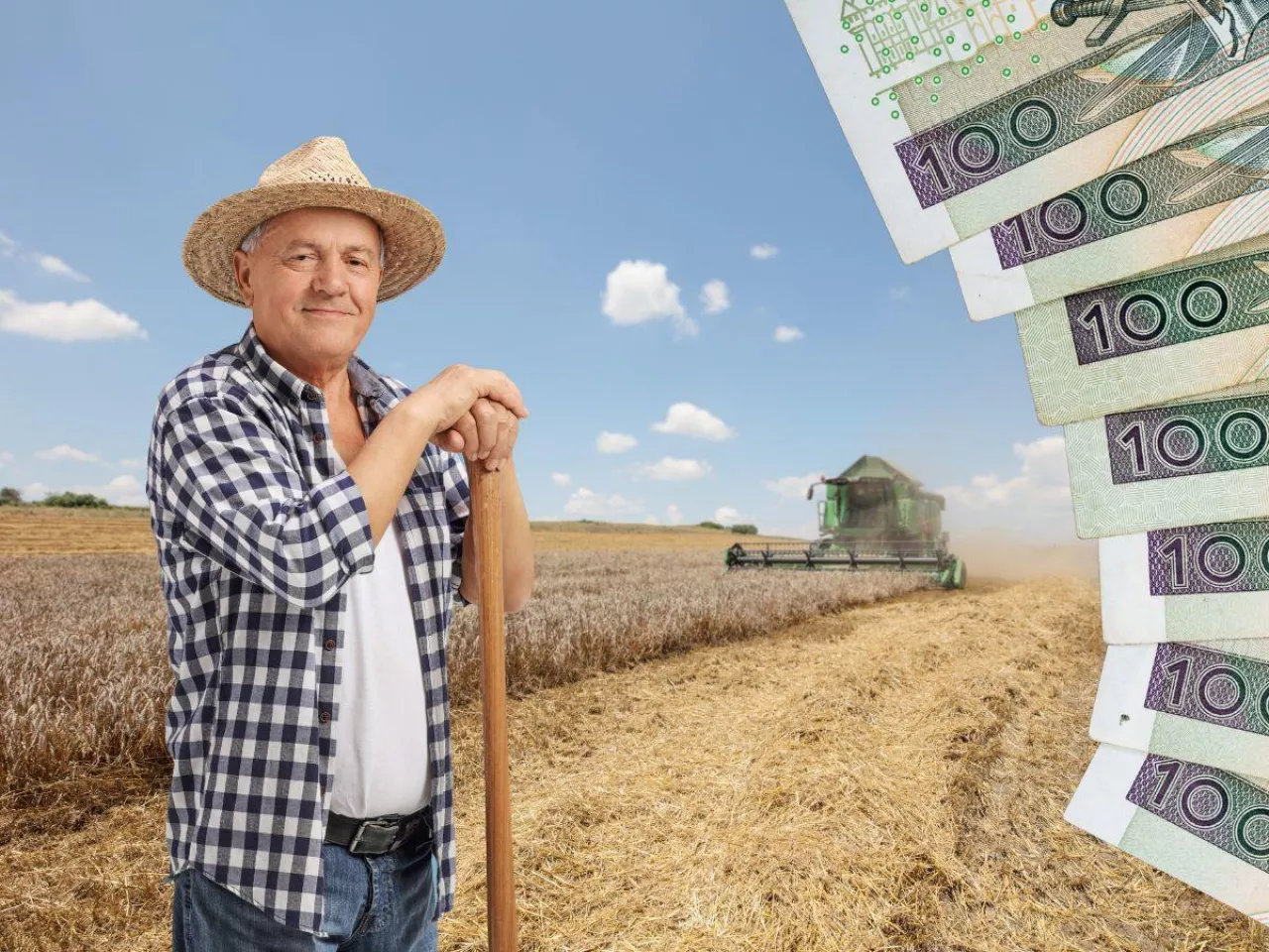 rolnik oparty o grabie stoi na polu, po lewej banknoty polskie stuzłotowe