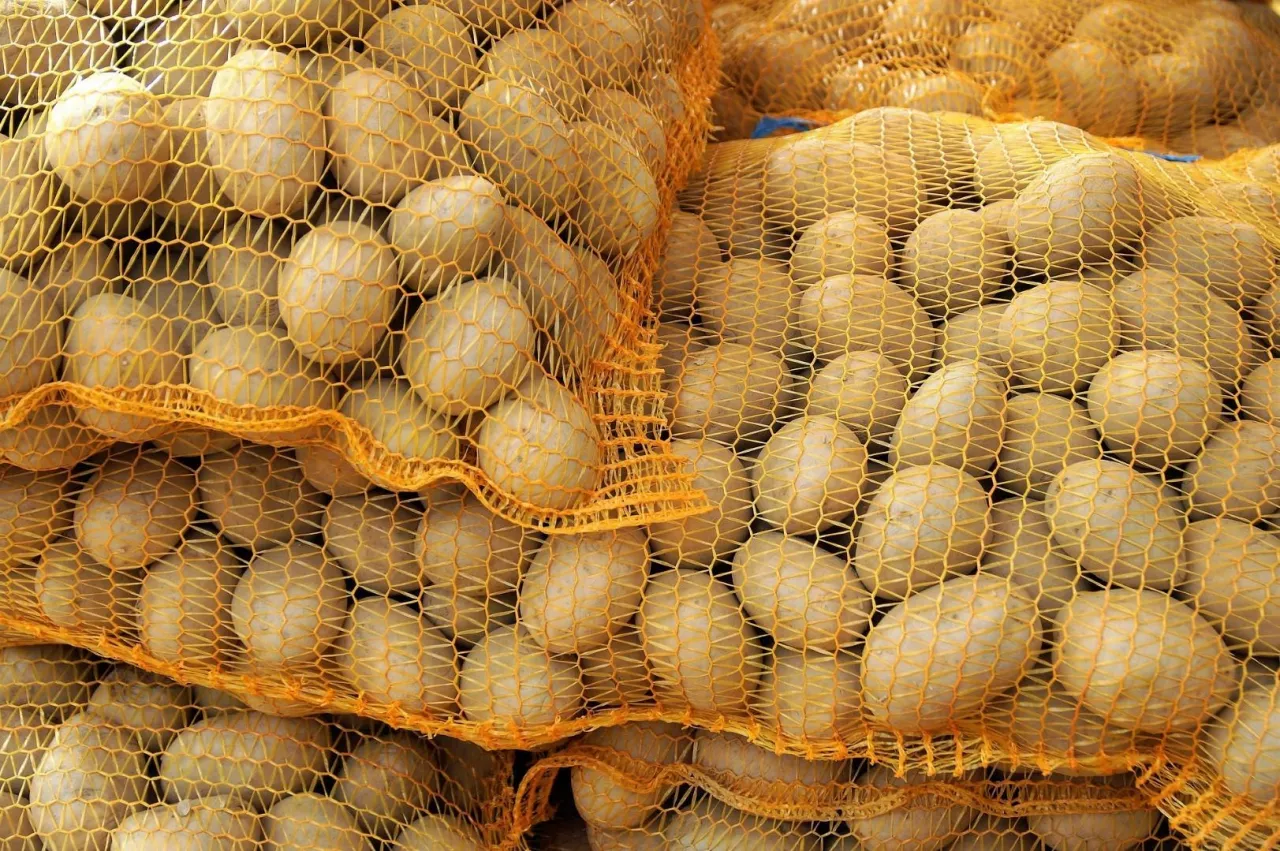 ziemniaki, ceny ziemniaków, rynek ziemniaka