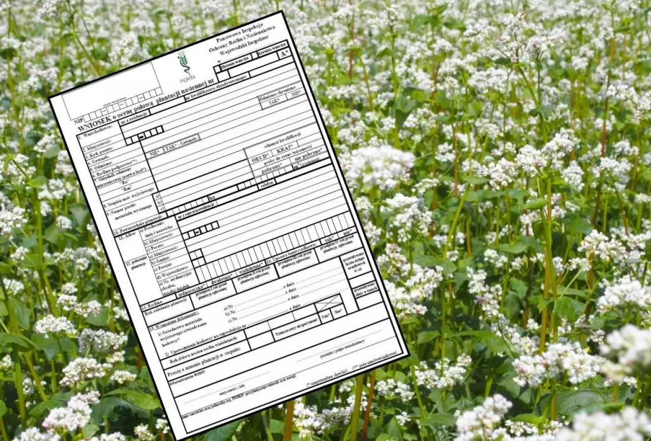 Ocena polowa materiału siewnego 2026. Terminy, wnioski i zasady PIORiN