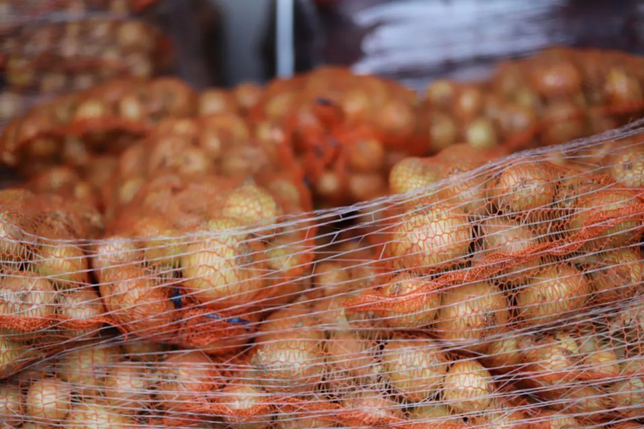 cebula, rynek cebuli