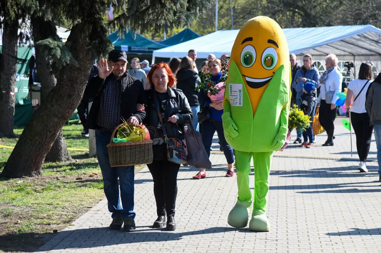 Wiosenne Targi Rolno-Ogrodnice AGROMARSZ w Marszewie, 2025 rok