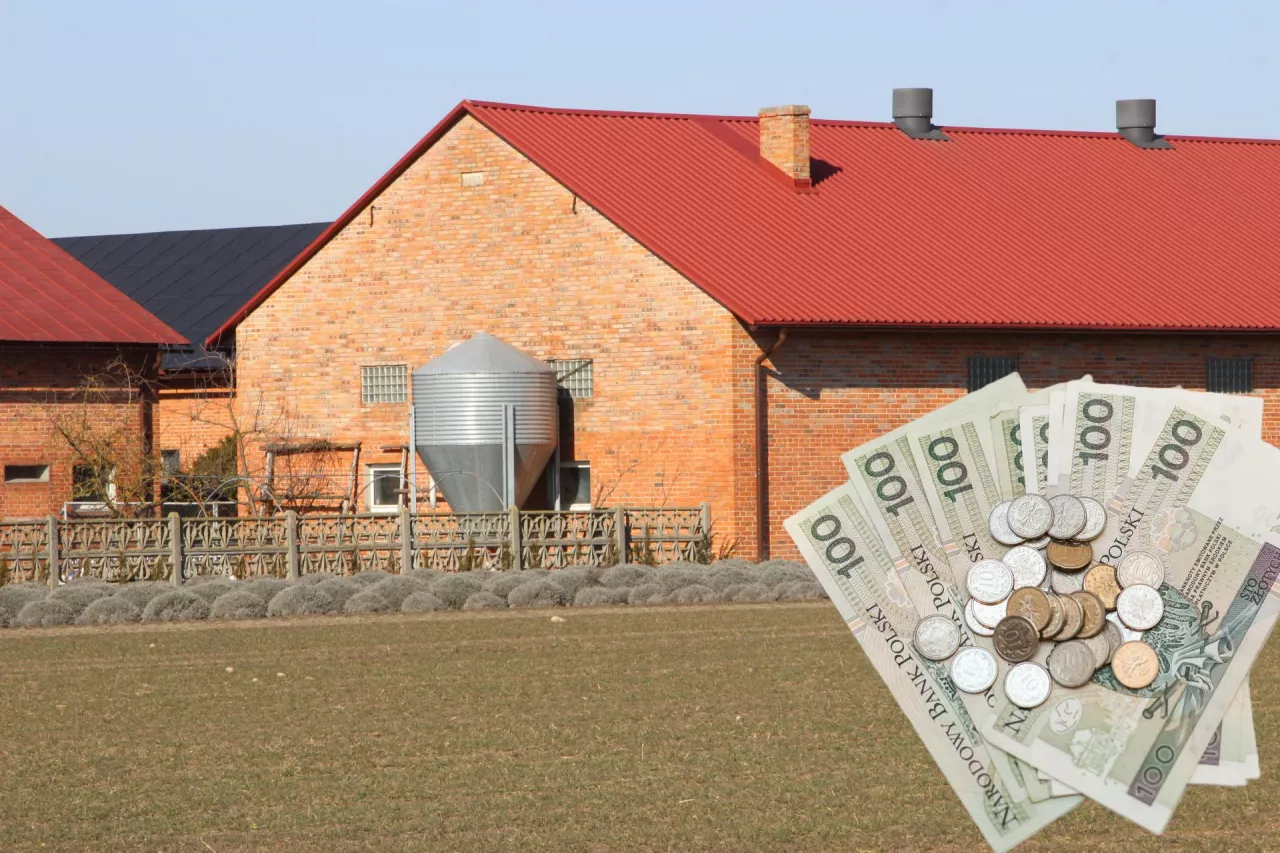 Z ekonomicznego punktu widzenia lepiej specjalizować się w tym, co robimy efektywnie – tłumaczy ekspertka