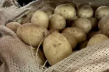 ziemniaki, ceny ziemniaki, import ziemniaków