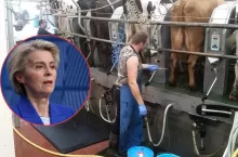 Przymusowe umowy dla rolników? Bruksela ma nowy pomysł na mleko