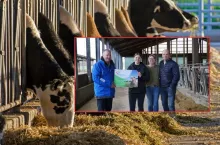 Rolnik zmienił mleczarnię. ”Teraz to oni zabiegają o nasze mleko”