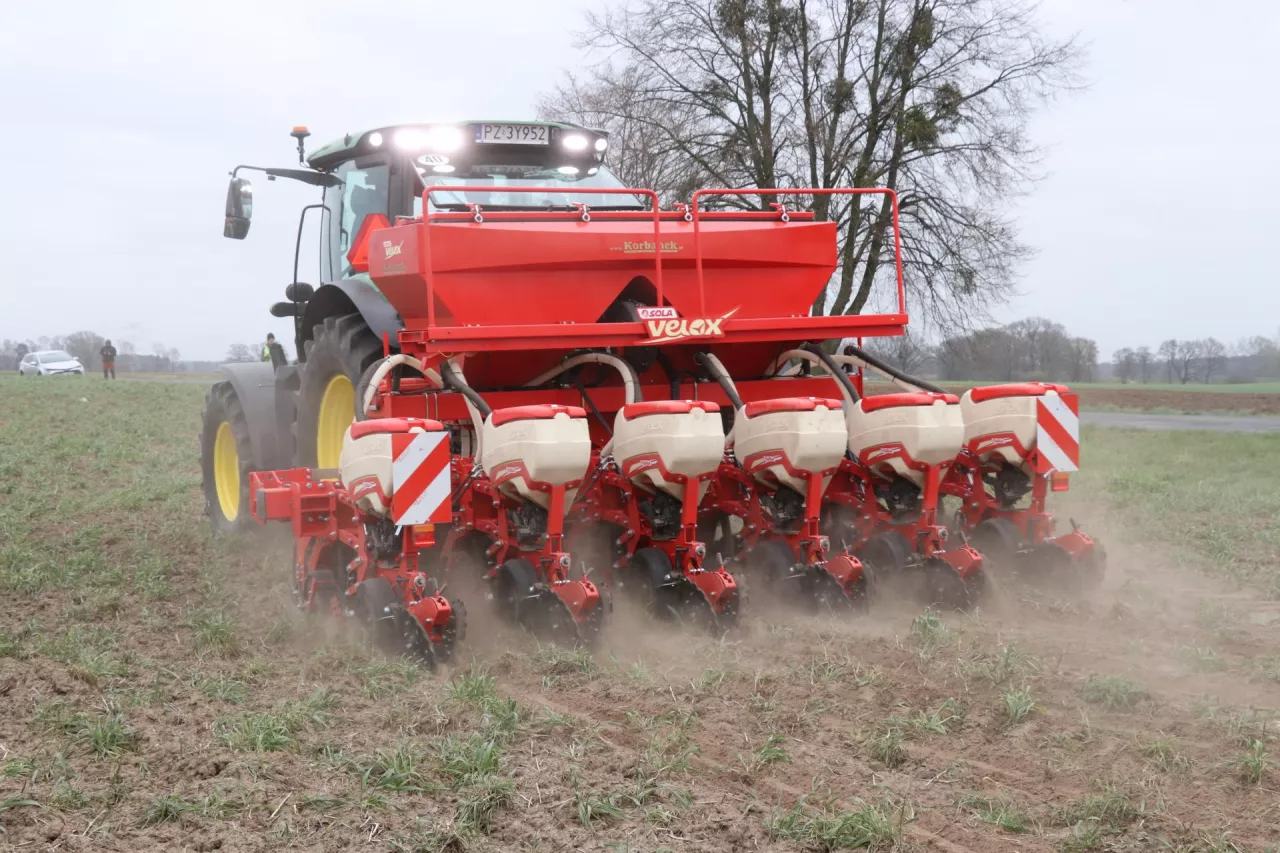 kukurydza siew kuku, siewnik, sianie kukurydzy