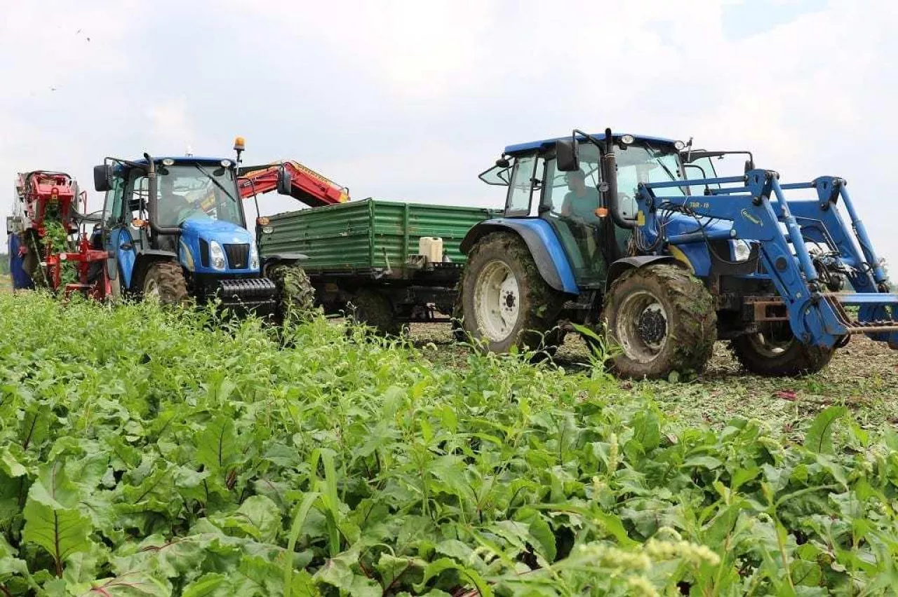 pracownicy z zagranicy pracownicy sezonowi cudzoziemcy pracownicy z Ukrainy