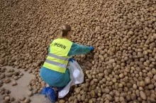 Inspektorzy wchodza na pola rolnikow. Co sprawdzaja?